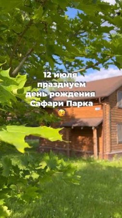 12 июля празднуем день рождения Сафари-парка