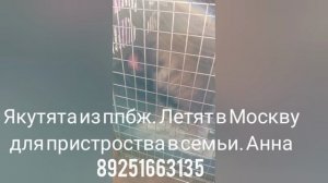 06-07-2025 якутята ппбж