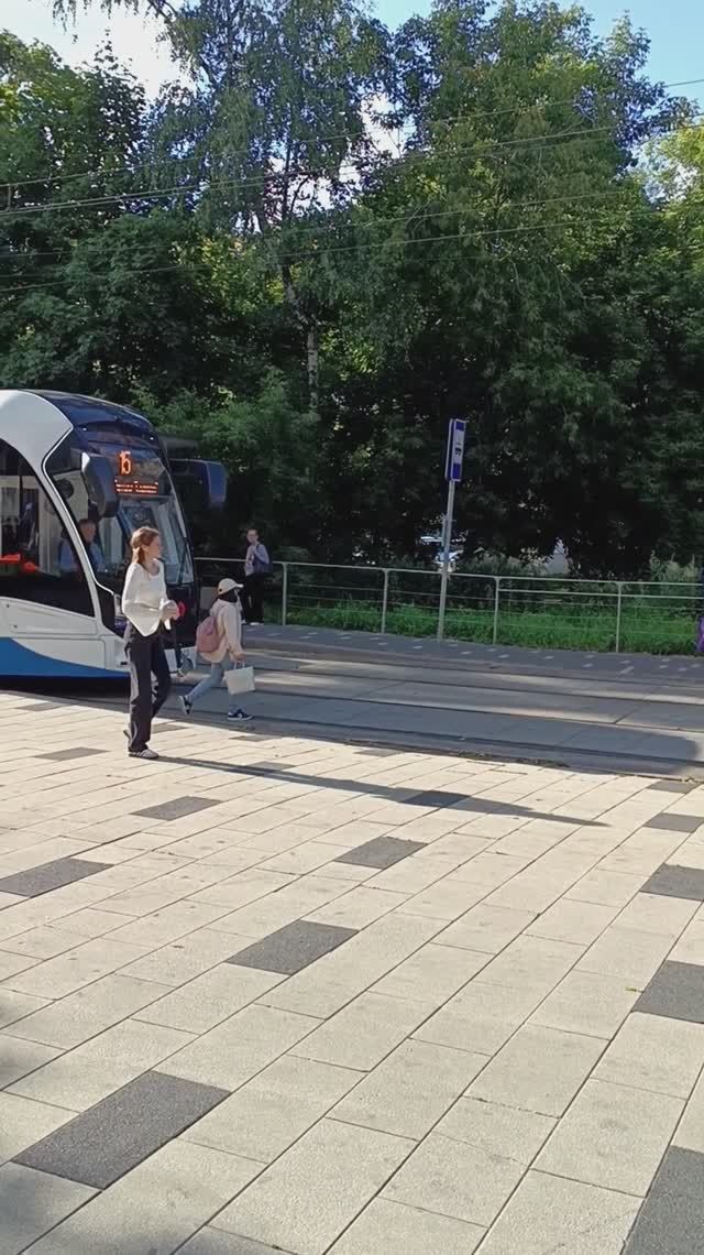 ост. Пехотная улица. Всехсвятская роща, Москва. 05.07.2025 (17:38). Улица Академика Курчатова.