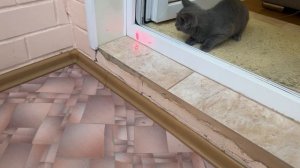 Играем с красной точкой, она непредсказуемая то появляется то исчезает)