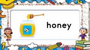 41｜ o ｜ Oxford Phonics World 5 - Letter Combinations.