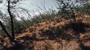 Реалии войны такие, какие они есть.