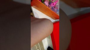 1000000596.mp4