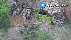 Бои на Запорожском фронте: штурм Каменского и Малой Токмачки поддерживают операторы 4 базы