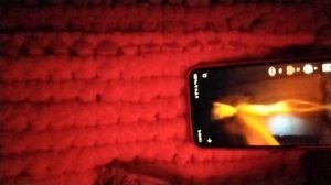 трансляцыя никиты