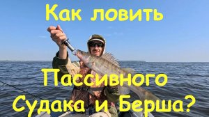 Как ловить пассивного судака и берша? Рыбалка на Горе Море в июле.