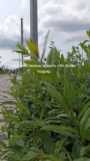 Чувствуй себя