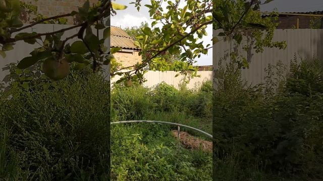 1000267653.mp4