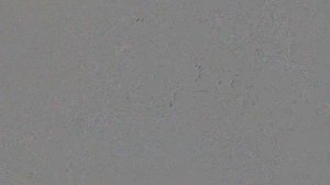 121 - Calypso Cat (21.06.1962)