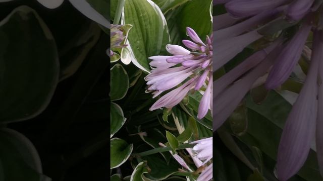 YouCut_20250706_224351233.mp4