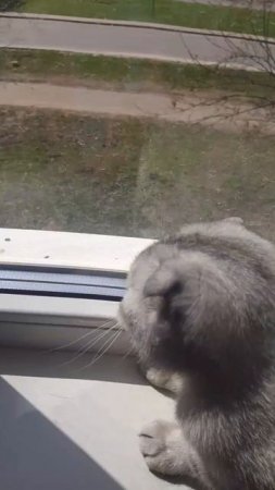 Скоро весна месяц апрель. Шелли