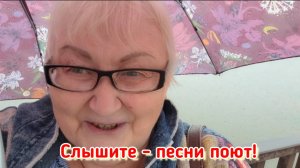 100 лет не ходили... выперлись! Отметили день Города называется, даже арбуз ели всухомятку!