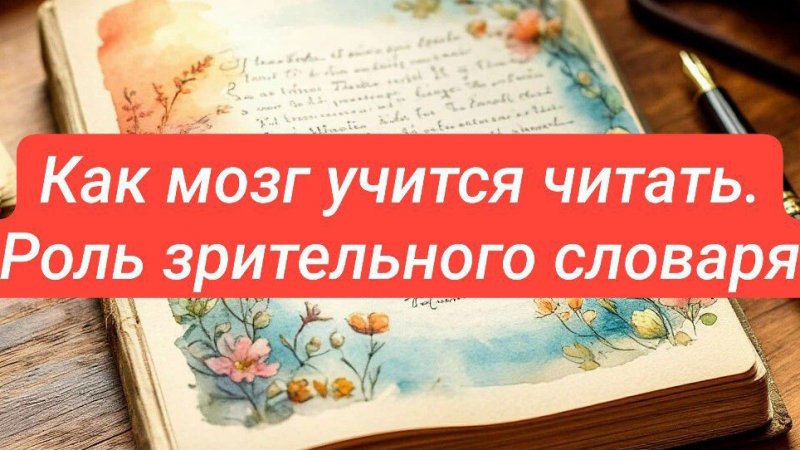Как мозг учится читать. роль зрительного словаря