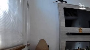 Смешные животные часть 2
