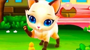 ЛЮБИМЫЙ КОТЕНОК МОЙ ПУШИСТИК, ИГРАЕМ С СИАМСКОЙ КОШЕЧКОЙ