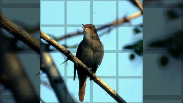 Факт №42