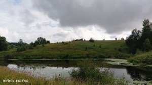 клубничная поляна,пруд дикая уточка с утятами