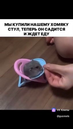 vkclips_20250706093600***