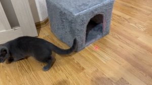 Всё ешё играю с этой удивительной штукой)