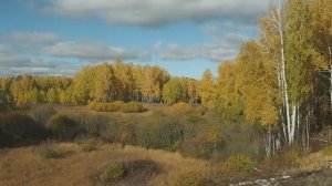 Екатеринбург - Тюмень, вид из окна поезда (Транссибирская магистраль).