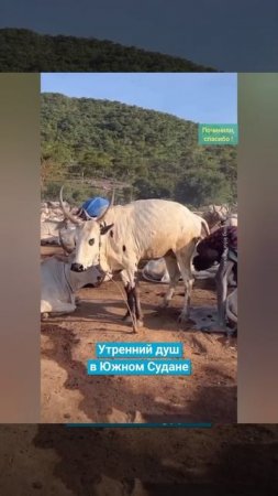 Объявление по Пансионату :" Сантехникам срочно починить кран в мужской душевой!