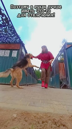 "Фридин Шанс" ❥ Приют в Малинках