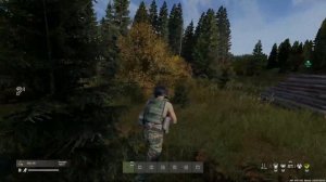 баг на баге, потерял ниву изо кривой игры DayZ