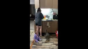 Кошка успокоила девочку (uu)