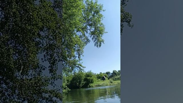плавание 🏊