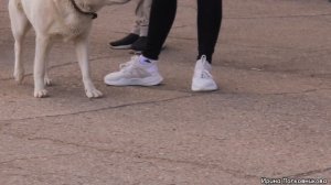 Любимому посёлку - 58!