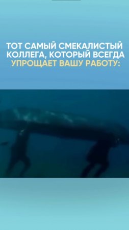 Тот самый смекалистый коллега, который всегла упрощает вашу работу #юристаннамаевская #консульиация