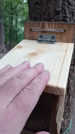 Поменял крышку на кормушке