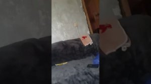 разгавор