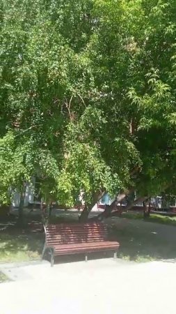 Безлюдно. Жара накрыла,.. А вас?