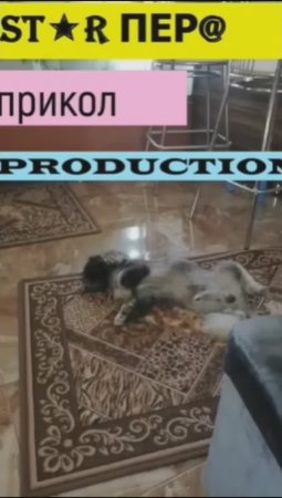 Спасение бабочки