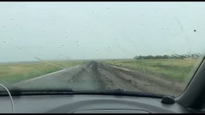 Дочери видео