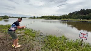 Поимки осетра !!!