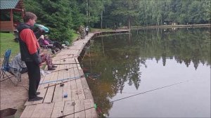 Утренний обзор с нижнего водоёма. Клёвое место, Лосиный остров.
