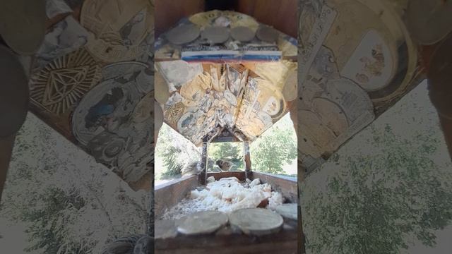 1000045938.mp4Жизнь кормушки.06.07.2025г.