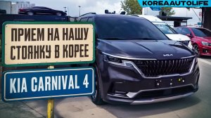 Прием KIA Carnival 4 Signature клиента KoreaAutoLife на нашу стоянку в Корее