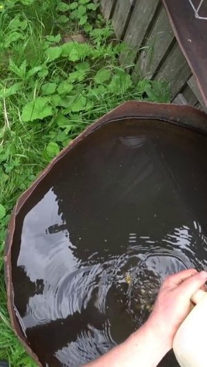 Домик в деревне