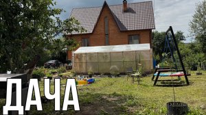 ДАЧА 28 ИЮНЯ 2025.