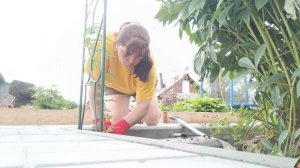 Мы не сдаёмся 🌱
