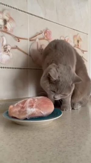 Когда нельзя, но ооочень хочется