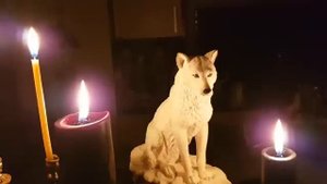 МОЛИТВА ВОЛКА - ИСЦЕЛЕНИЕ