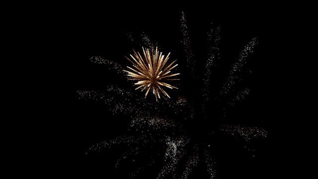 Mitch Martinez (4K).Fireworks (6)