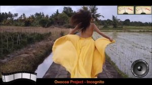 Оносов Project - Incognito