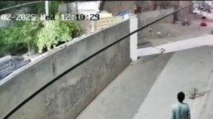Домашний лев сбежал от хозяев в пакистанском Лахоре, он носился по городу, нападая на прохожих.