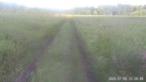 Quartz Run 5 июля 2025 (1)