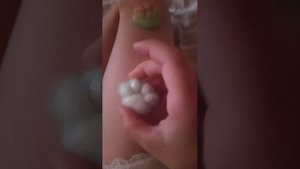 обзор на таба лапки